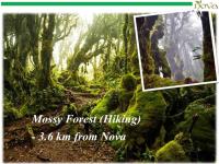 Cameron Nova Highlands Resorts II - B&B Brinchang