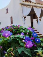 Villa Anna 300 m dal mare - B&B Torre delle Stelle