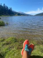 Grand Studio à 3 min du centre-ville - B&B Bagnères-de-Bigorre