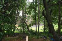 Gennys farmhouse - B&B Sāwantwādi