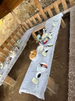 Guest House Kolata view - B&B Tropoje