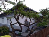 BB HÄZ Apartman - B&B