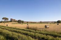 The Runner House - B&B Ponte A Tressa