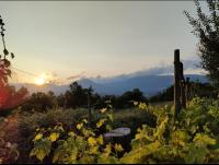 GrappoloNero - Bed and Breakfast Laino Castello