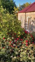 Hayk in Sanahin - B&B Sanahin