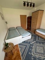 Lynx and Fox Self check-in Free parking apartment - B&B Delnice