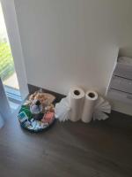 Cristina Residence - App 3 - B&B Roeselare