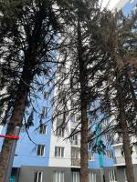 Новые Комфортные апартаменты, ЖК Еламан - B&B