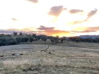 Luxury country guesthouse on large cattle station - B&B Murrurundi