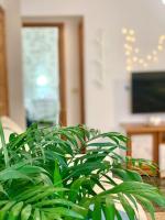 Your Holiday Home - El Tablado - Tenerife Sur - Chambres d’hôtes El Escobonal