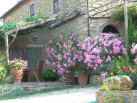 PERGOLA at Le Pietraie a cottage with many flowers - Bed and Breakfast