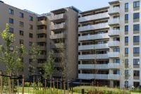 Apartment mit 1 Schlafzimmer und Terrasse