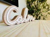 Camera Queen Comfort 