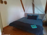 6-Bed Mixed Dormitory Room