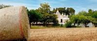 TRULLI delle rose Puglia and small garden - Chambres d’hôtes Martina Franca