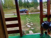 Wolf Apex - B&B Žabljak