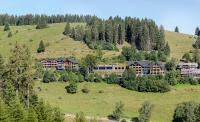 Black Forest Lodge - Bed and Breakfast