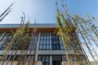 Surf Loft 4 by Alfred in Bali - B&B Canggu