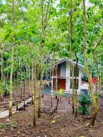 Tagaytay's Cozy Loft-type Forest House and Camp - B&B Silang