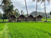 Blue Sky Cottages Hampi - Bed and Breakfast Hampi