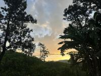 why not guest house ella - B&B