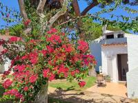 Praia da Falésia, O Melhor Estúdio da Aldeia das Acoteias - Chambres d'hôtes Albufeira