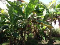 Haus mit 1 Schlafzimmer