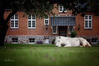 Søstgård B&B - B&B