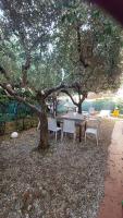 Casa con giardino vicina a tutto - B&B