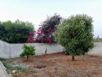 Alloggio masseria belvedere - B&B Porto Cesareo