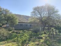 Pomancillo Ecolodge - B&B