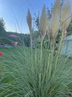 Ferienwohnung Mayer - B&B Kirchheim am Ries