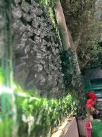 2 - BEDROOM APARTMENT in the heart of Zamalek visits allowed - B&B