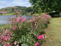 Lakeside 1 - B&B
