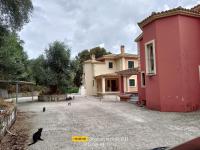 Aris Corfu Apartments - B&B