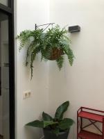 Apartamentos Los Dragos - Planta 2 - B&B Las Palmas de Gran Canaria