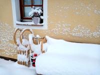 Panorama Chalet Höllmaishof - Ferienwohnung Bischofshofen