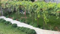 GreenZen reset space - B&B Zagorič