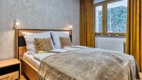 Deluxe One-Bedroom Apartment