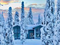 Petäjähovi - B&B