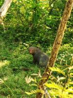 Block 5 Safari Camp - Yala National Park - B&B Kohombagahapelessa