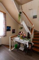 Villa Regina Waldblick - B&B Friedrichroda