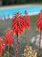 Tenuta Serena Apartments - Ferienwohnung Molfetta