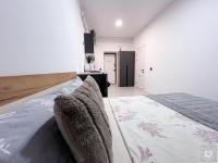 RentHouse Nano-Apart-Hotel Room #8 - Bed and Breakfast Chisinau