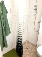 Monolocale con Divano-Letto