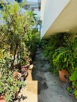 Aelios City House - B&B Rodi