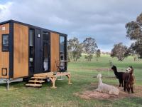 Casa Mobile