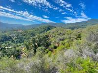 Backpacker's Dream with detached bathroom, private trails and creek! - Chambres d'hôtes Topanga Park