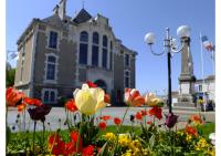 Studio indépendant Hyper centre - B&B Challans