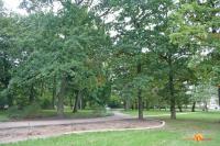 Warnemünde Schilfgras 44798 - Ferienwohnung Warnemünde